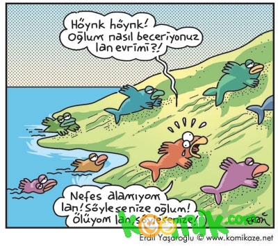 komik resim